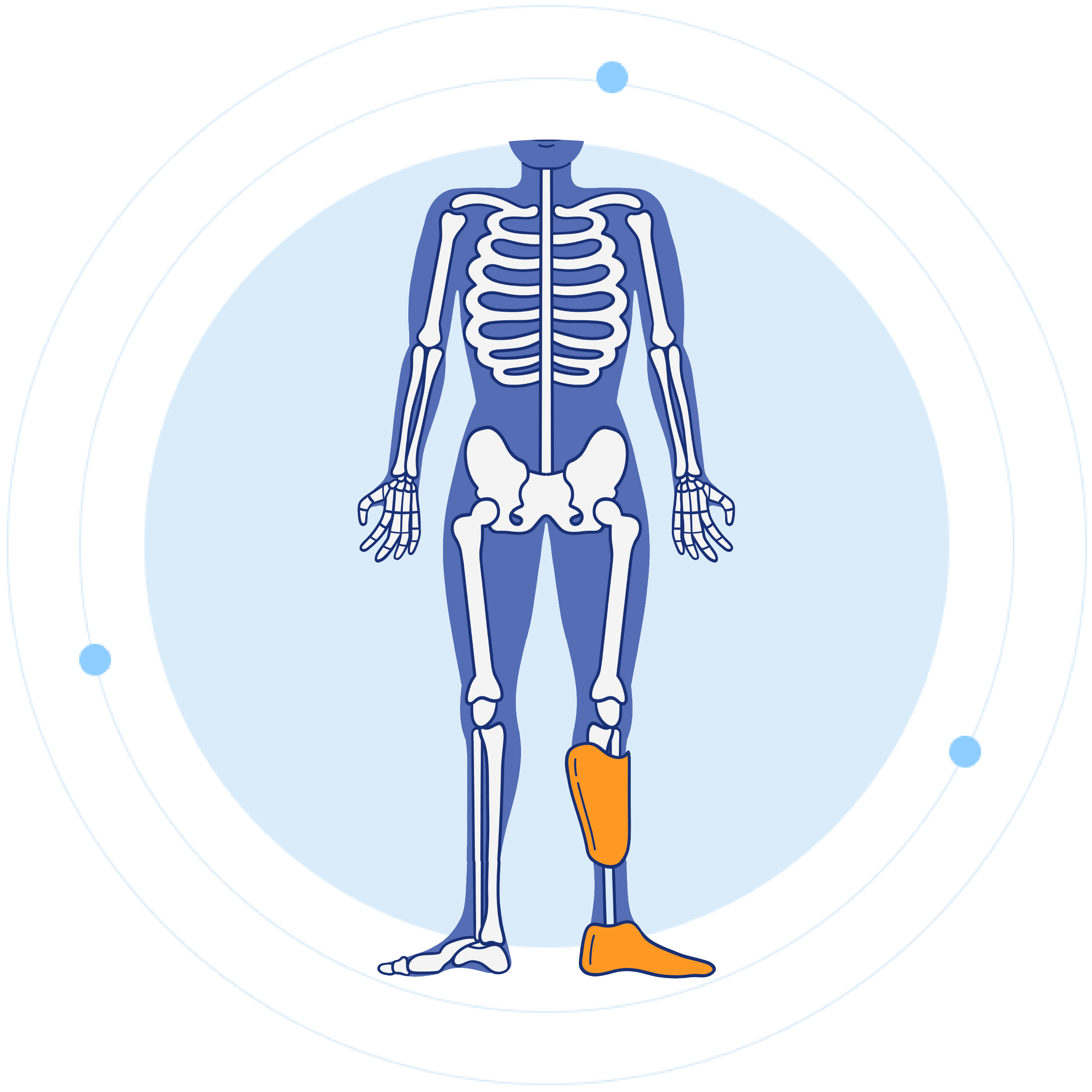 Below the Knee Prosthetics